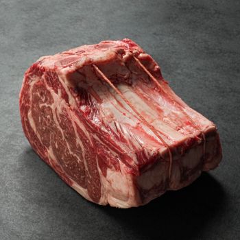 angled view of a raw capless prime rib roast with the back bones removed and tied back on