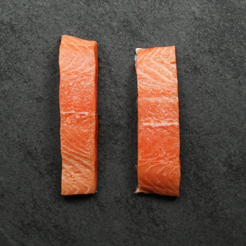 overhead view of two raw salmon filets