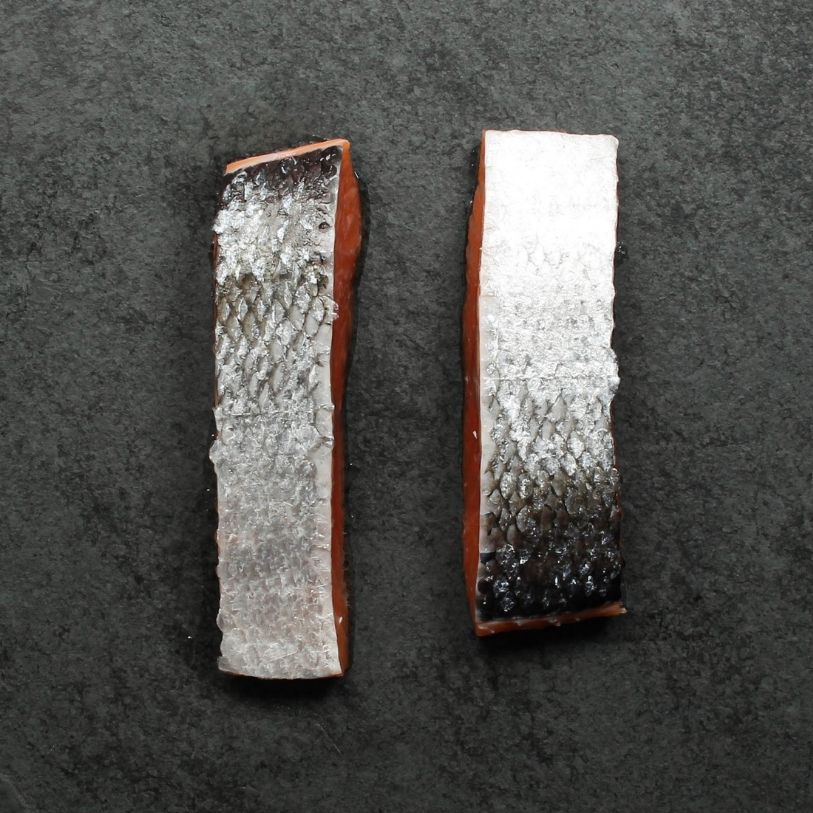 overhead view of the skin side of two raw salmon filets