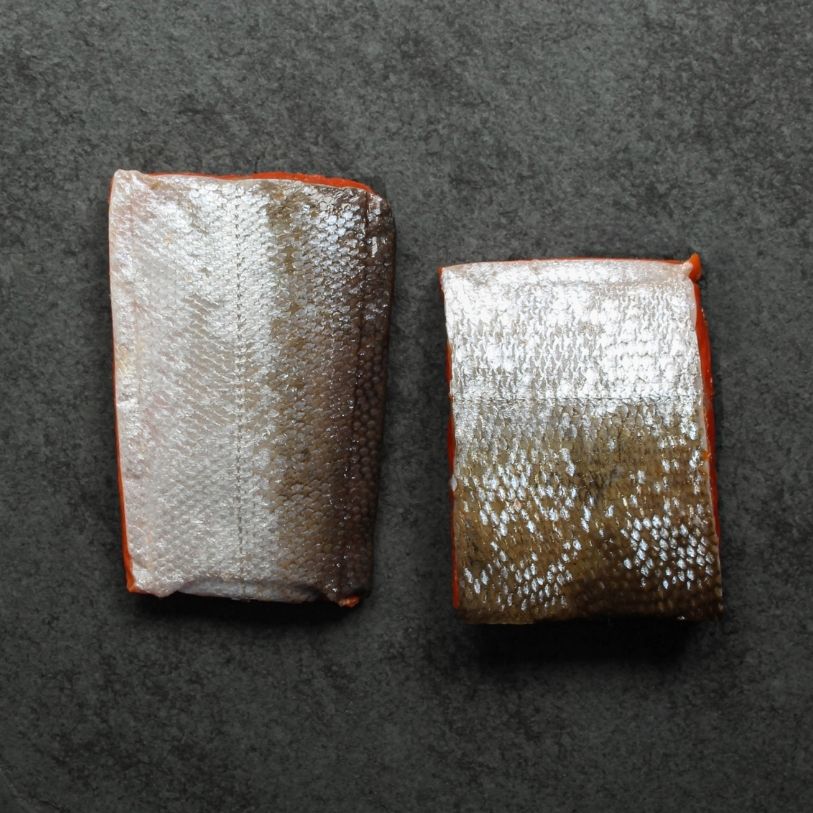 overhead view of two raw, skin-side-up wild sockeye salmon portions