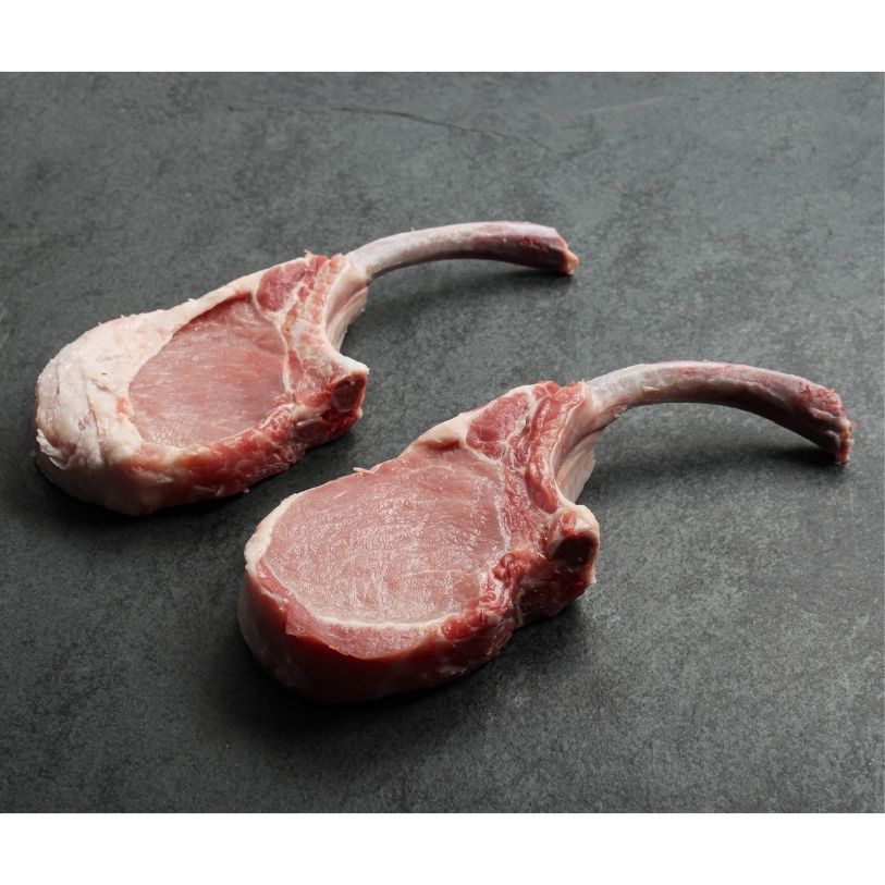 angled view of two raw pork chop tomahawks with exposed frenched bones